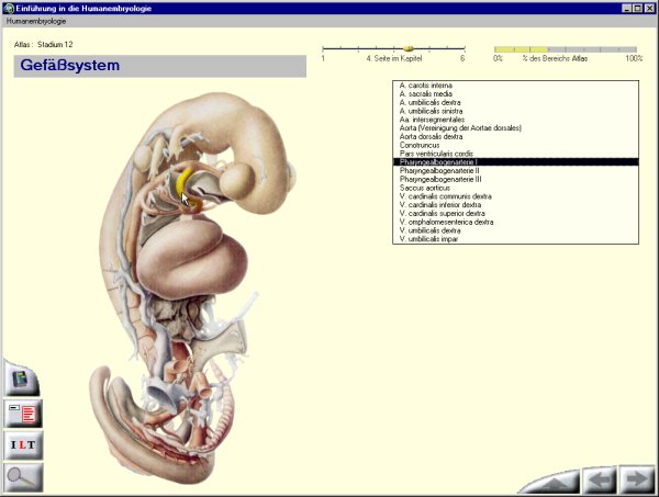 Beispiel 3 der CD 'Humanembryologie'