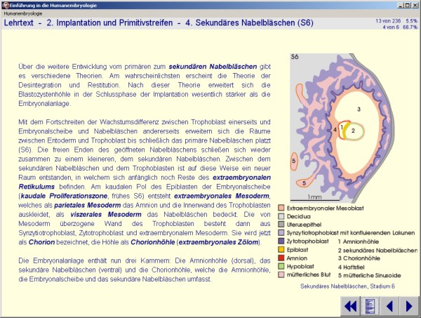 Beispiel 1 der CD 'Humanembryologie', 2. Auflage
