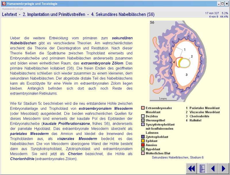 Beispiel 1 der CD 'Humanembryologie und Teratologie', 3. Auflage