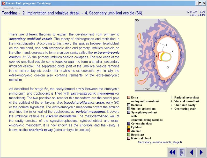 Example 1 of the CD 'Human Embryology and Teratology', 3rd edition